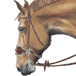 daim